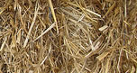 straw bale for Barn Hunt